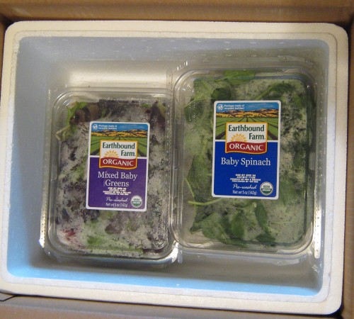 Free Earthbound Farms Salad